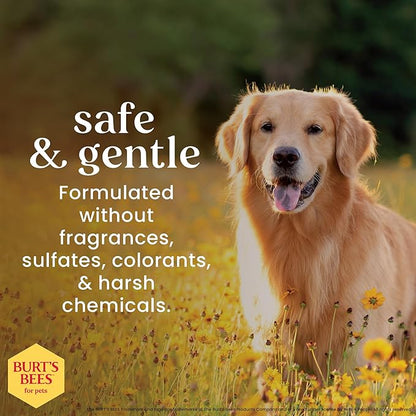 BURT'S BEES FOR PETS Itch Soothing Shampoo with Honeysuckle, 95% Natural Origin Formulas, Dog Shampoo for Itchy Dogs, Dog Shampoo Itchy Skin Relief, 32 oz