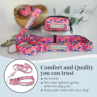 Lucky Love Dog Martingale Dog Collar & Leash - Adjustable, No-Slip, Durable, Comfortable, Soft Webbing, & Stylish Patterned Collar & Leash Set for Male and Female Dogs - Rosie Combo, Medium