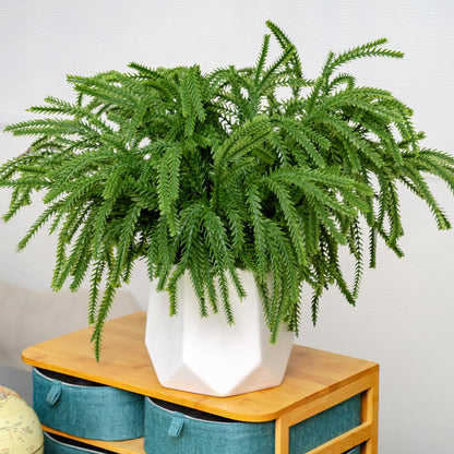 Real Touch Christmas Norfolk Pine Branches -18" Artificial Pine Branches Green Plants Branches for Holiday Floral Arrangements, Wreaths, Craft DIY and Home Xmas Decorations (4PCS(24 sprigs))