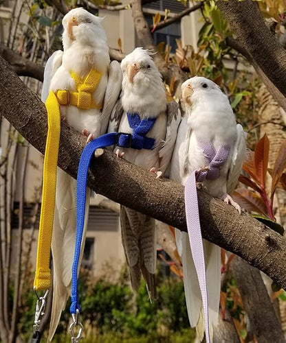 Pet Parrot Bird Harness Leash Adjustable Bird Flying Harness Traction Rope with Cute Wing for Parrots Pigeons Budgerigar Lovebird Cockatiel Mynah Outdoor Training Toy (S, Yellow)