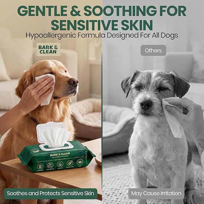 Bark & Clean Dog Wipes for Paws and Butt, 50 Count Large 8.5" x 9" Hypoallergenic Bamboo Pet Wipes Compostable Puppy Wipes with Lavender for Dogs Body Face - Deodorizing Grooming Wipes
