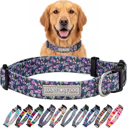 Lucky Love Dog Martingale Dog Collar - Adjustable, No-Slip, Durable, & Soft Webbing Collar for Male and Female Dogs Ideal for Training & Walking - Primrose, Large