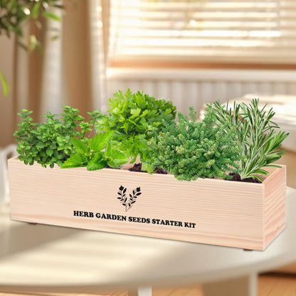 Indoor Herb Garden Starter Kit, Including A Complete Gardening Tools for Women Parents Gift