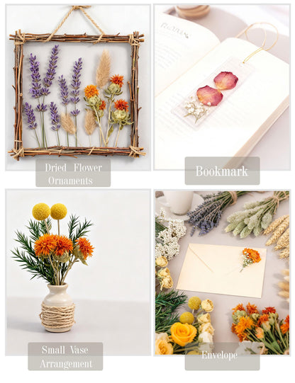 DIY Natural Dried Flower Set, Bulk Dried Flowers for Vase, Dried Flowers with Stems, Dried Roses, Mini Dried Flower Bouquets.(Brown)