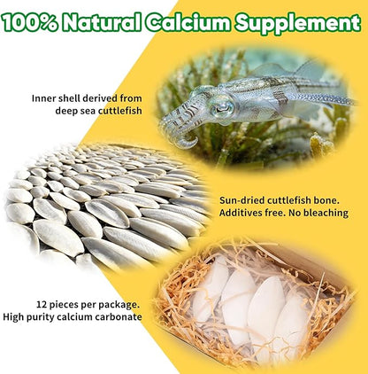 Amzey 12 Pack Cuttlebone for Birds, 4-6 Inches Sun-Dried 100% Natural Calcium Supplement, 100% Pure Cuttlefish Bone for Beak Trimming, Supports Healthy Bones, Feathers & Shells