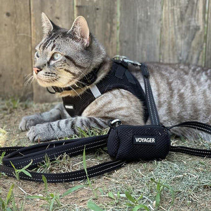 Best Pet Supplies Voyager Step-in Air All Weather Mesh Harness and Reflective Dog 5ft Leash Combo with Neoprene Handle, for Small, Medium and Large Breed Puppies - Black, XX-Small