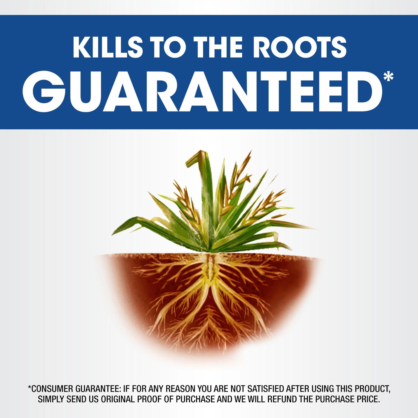Roundup Weed & Grass Killer₄ with Comfort Wand, Use in and Around Flower Beds, Trees, and Driveways, 1 gal.