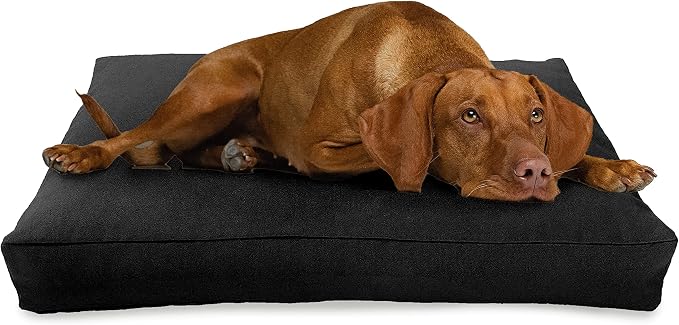 X-Large - 48 x 30 x 5 - Black Premium Organic Hemp Dog Bed - CertiPUR Fill - Removeable Cover