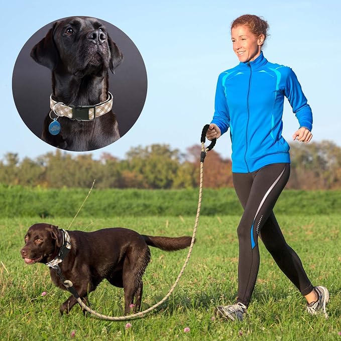 Ladoogo Reflective Dog Collar Padded with Soft Neoprene Breathable Adjustable Nylon Dog Collars for Small Medium Large Dogs (Small (Pack of 1), Vanilla Plaid Collar+Leash)