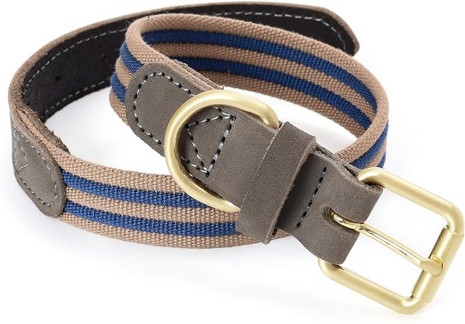 Mile High Life Genuine Leather Dog Collar, Heavy Duty Canvas Collar with Adjustable Metal Pin Buckle for Small Medium Large Dogs (Navy Blue, M Neck 15"-18")
