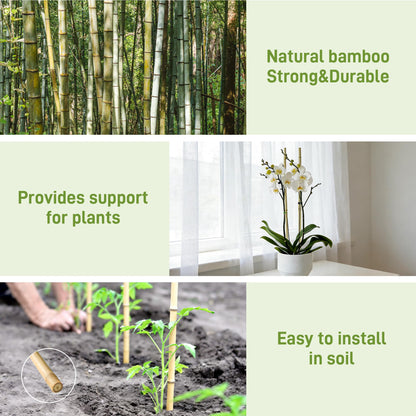 0.32”-0.4"/ 4 Feet Garden Stakes, Natural Bamboo Sticks Plant Stakes for Indoor and Outdoor Plants，Poles for Tomatoes, Beans, Potted Plants(50Pcs)