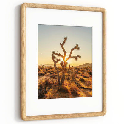 RICHFOCUS 11x14 Picture Frame, USA-Sourced Natural Solid Oak Wood Rounded Corner Curved Photo Frame, Double Tenon Reinforced with HD Tempered Glass, Display Photos 8x10 with Mat or 11x14 Without Mat
