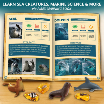 PIBEX Under-The-Sea Dig Kit – Dig & Discover 18 Real Shell Fossils, Amber Jewelry & Sea Animal Creatures – Ocean Necklace Making & STEM Excavation Activity Toy for Kids Ages 6+
