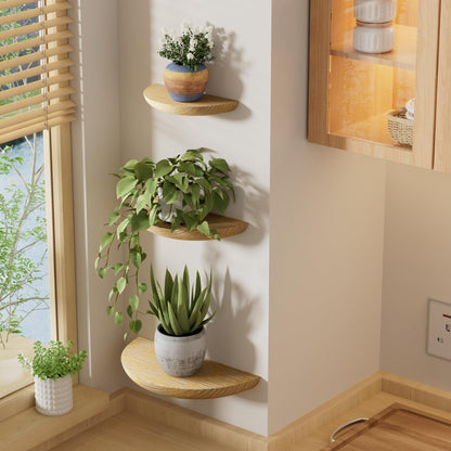 QsQueen Solid Wood Half Round Floating Wall Shelves | Elegant Floating Shelves, Elevate Your Space. Perfect for Living Rooms, Bathrooms, Bedrooms, Offices, Children's Rooms Light Brown