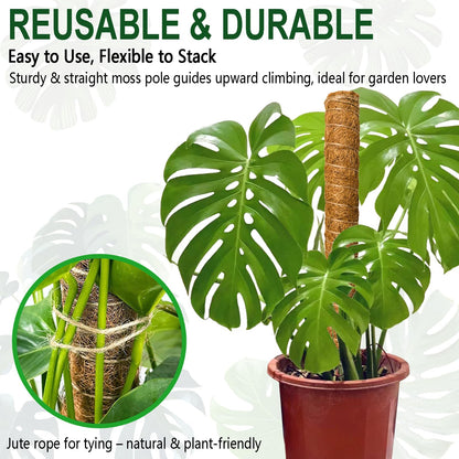 Soupiar 4 Pack 22 Inch Stackable Moss Pole - Thick & Sturdy Natural Coir Totem Plant Support & Garden Stakes for Monstera & Pothos, Indoor Climbing Vining Houseplants, 70" H Max