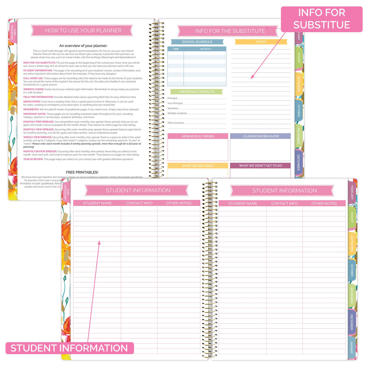 bloom daily planners New Undated Academic Year Teacher Planner & Calendar with Frosted Protective Cover - 7 Period Lesson Plan Organizer Book (9" x 11") - Teacher with a Plan