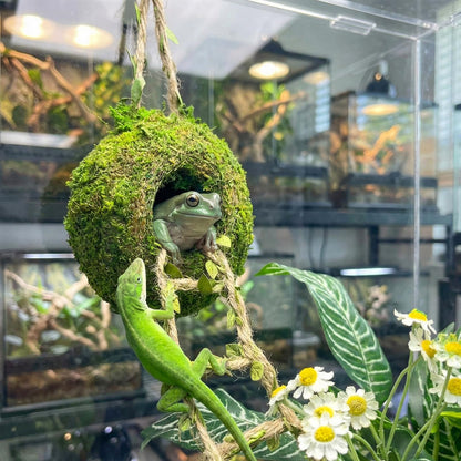Moss Cave Hideout with Hanging Rope & Hemp Climbing Ladder – Natural Reptile Tank Decor Accessories for Crested Geckos, Chameleons, Tree Frogs, Leopard Geckos & Snakes. Terrarium & Vivarium Decor (4")