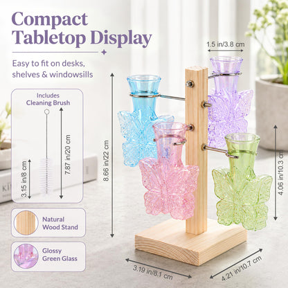 Nacome Plant Terrarium Propagation Stations: Colored Vase with Wooden Stand
