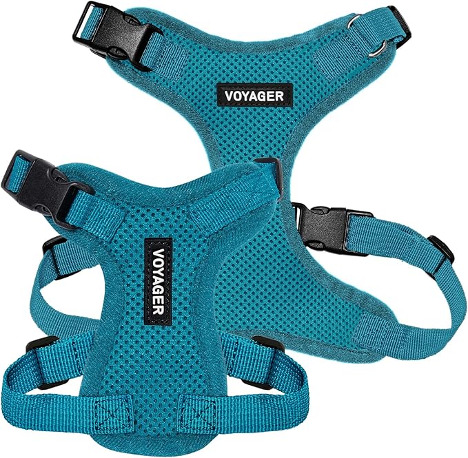 Voyager Step-in Pet Harness - All Weather Mesh, Adjustable Step in Harness for Cats and Dogs by Best Pet Supplies - Turquoise, L