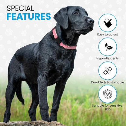 Hypoallergenic Dog Collar - Great for Sensitive Skin, Soft Collar for Dogs, Soft Organic & Earth Friendly (Small, Brown)