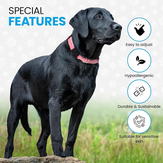 Hypoallergenic Dog Collar - Great for Sensitive Skin, Soft Collar for Dogs, Soft Organic & Earth Friendly (Medium, Yellow)