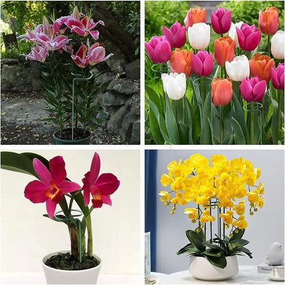 Joyhalo 20 Pack Plant Support Stakes 24 Inch, Plant Stakes, Flower Stakes with 24 Twist Ties, Garden Sticks for Plants Iris, Dahlia, Gladiolus, Amaryllis, Rose, Sunflower, Tomato, Sapling Etc