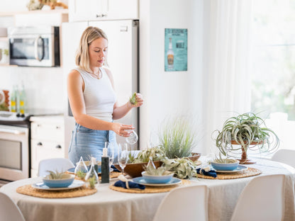 Air Plant Shop Fully Assembled Air Plant Cork Bark Displays - Wholesale and Bulk - Succulents - Live Tillandsia - Easy Care Indoor and Outdoor House Plants (Chunk)