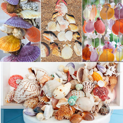 Fangoo 1.5 LB Mixed Sea Shells, 130+ PCS Beach Seashells Starfish Oyster Shells Various Sizes Ocean Seashells for Fish Tank Vase Fillers Beach Theme Party Wedding Decor DIY Crafts Home Decorations