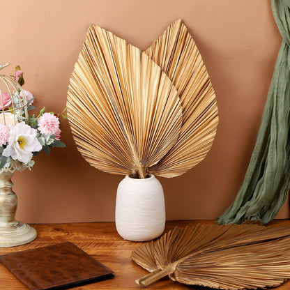 Ovveroche 4 Pcs Large Gold Dried Palm Leaves, Home Wedding Decor Natural Boho Dried Palm Fans with Stem,Tropical Palm Leaves Boho for Vase Baby Shower Anniversary