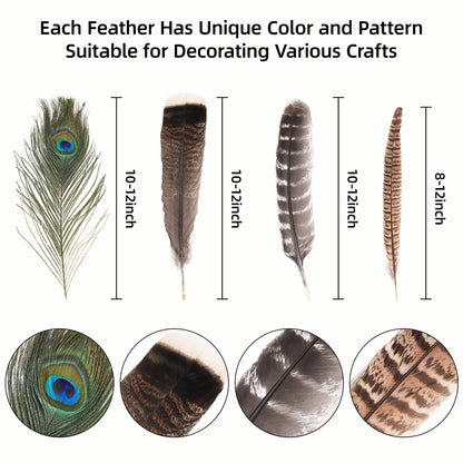 Ballinger Large Natural Pheasant Feathers - 8-12inch 4 Styles 24Pcs Assorted Craft Feathers Bulk,Peacock Feathers, Pheasant Feathers,Turkey Feathers for Crafting Vase Hat Wedding Autumn Party Decor
