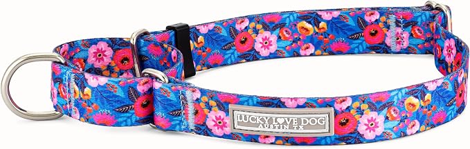Lucky Love Dog Martingale Dog Collar - Adjustable, No-Slip, Durable, & Soft Webbing Collar for Male and Female Dogs Ideal for Training & Walking - Zuzu, Medium