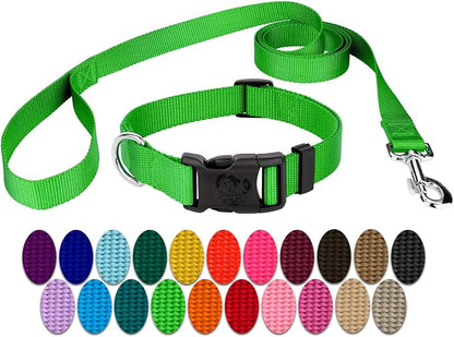 Country Brook Petz - Everyday Nylon Dog Collar and Leash - 10+ Cool Colors (3/4 Inch, Small, Hot Lime Green)
