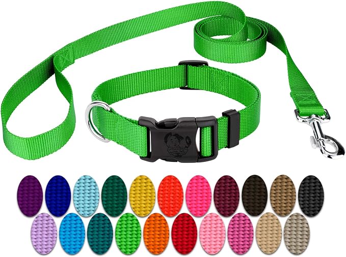 Country Brook Petz - Everyday Nylon Dog Collar and Leash - 10+ Cool Colors (3/4 Inch, Medium, Hot Lime Green)