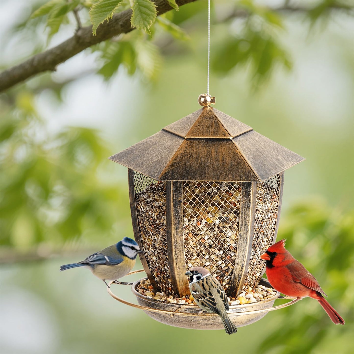 LBTING Bird Feeder for Outside, Hexagon Lantern-Shaped Metal Bird Feeder, Wild Bird Feeders for Hanging Outdoor Garden Yard