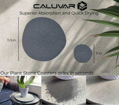 Stone Plant Saucer Set 1 Small 5 in + 1 Large 11.5 in, Absorbent Diatomaceous Earth Plant Tray for Indoors, Plant Pot Saucer with Silicone Feet, Grey Slate Water Absorbing Planter Tray