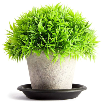 Juvale 24 Pack Small Plastic Plant Saucers for Pots, 4 Inch Drip Tray for Planter, Indoor, Outdoor Flowers (Black)