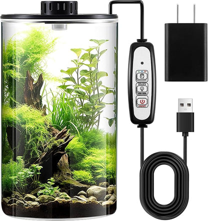 Maxdot Glass Plant Terrarium Kit with Light for Succulent, Moss, Miniature Gardening Landscape, Betta Fish Tank, Office Home Decoration, Plant Lovers Gifts(9.8 x 5.9 Inch)