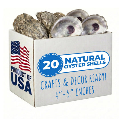 Tumbler Home Oyster Shells for Crafts, 20pcs, 4"- 5" Large Oyster Shells for Crafting, Decoupage, Christmas Ornaments, Wreaths, Weddings, Beach Décor, DIY Arts & Crafts. Bulk. Farmed in USA