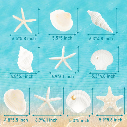 Seashell Hanging Swirls 21Pcs Coastal Beach Birthday Party Decoration Starfish Seashell Ceiling Swirls Decor Ocean Seashell Conch Cutout Hanging Streamers for Nautical Wedding Party Supplies