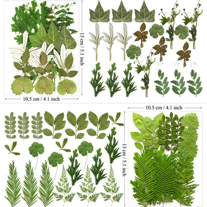 MIKIYA 84Pcs Pressed Dried Leaves for Resin Molds, Assorted Real Natural Bulk Dry Flowers for DIY Art Crafts, Epoxy Jewelry, Candle, Soap Making, Nails Decors Gifts