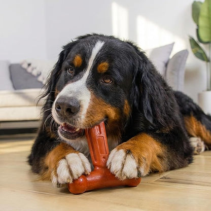 Outward Hound Dogwood Hold & Chew Durable Dog Chew Toy, Beef Scent, Large