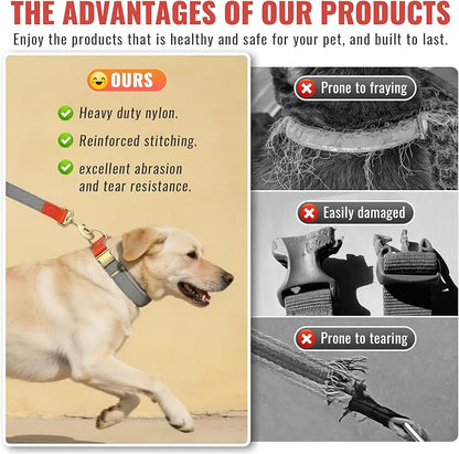 Nylon Dog Leash and Collar Set with Metal Quick Release Buckle, Adjustable, Durable High-Density Fabric, Breathable, Soft and Comfortable for Walking and Training, Silver-Gray, XL (16.9"-26")