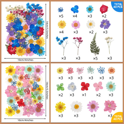 Tessera 160 Pcs Dried Pressed Flowers with Tweezers for Crafts, Dried Flowers for Resin Crafts for Jewelry Making for Candle Making for Wedding Card
