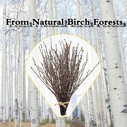 17 Inch Natural Birch Branches Dried Birch Twigs Wreath Making Supplies Dried Plants for Rustic Home Decor Easter Stems Vase Filler DIY Crafts Vases Tall Wreath Christmas Decoration Wedding (100Pcs)