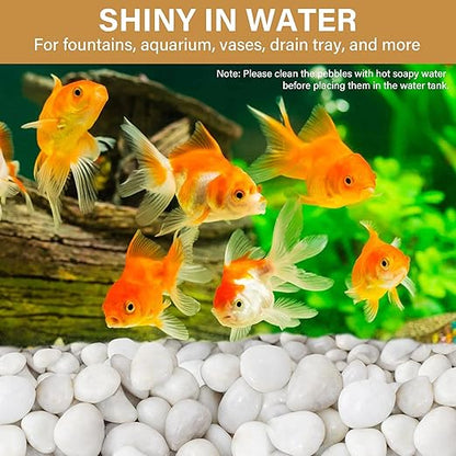 NUPICK 45lb White River Rocks for Outdoor Landscaping, 1-2 Inch Pebbles for Indoor Plants, Natural Polished Aquarium Gravel, Decorative Rocks for Succulent, Garden, Vases Fillers, Bird Baths
