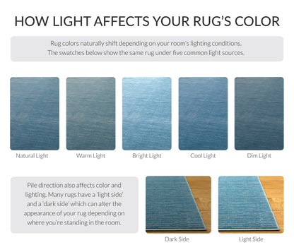 SAFAVIEH Area Rug 8x10 - Vision Collection - Large - Aqua, Modern Ombre Design, Non-Shedding & Easy to Clean, Ideal for Living Room, Bedroom, Dining Space (VSN606B)