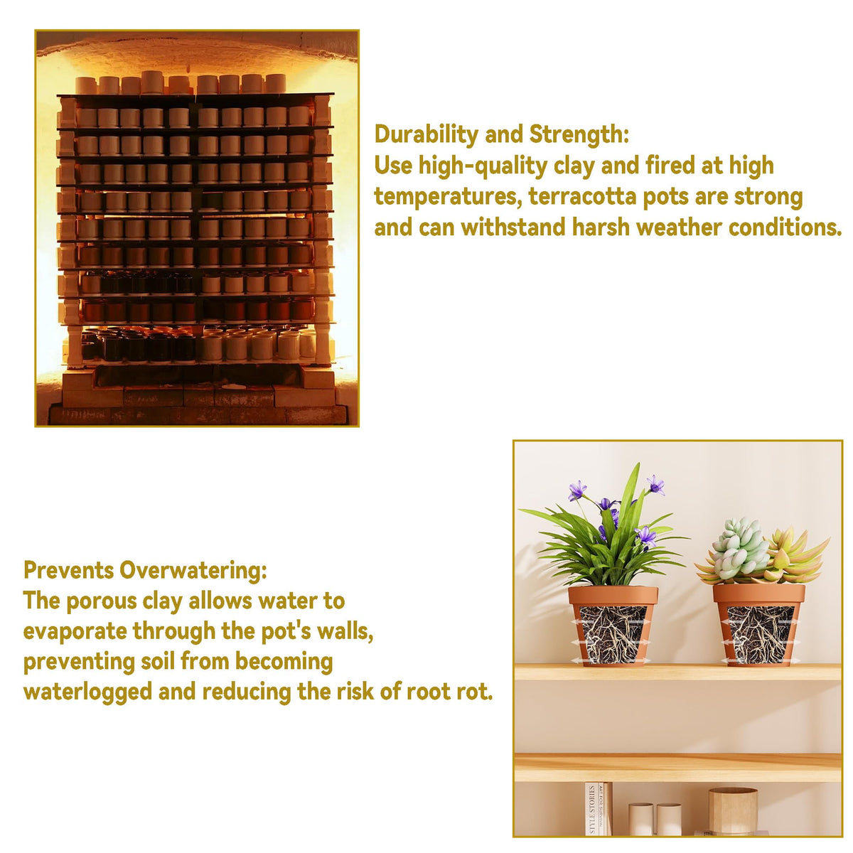 Fcacti 12 inch Terracotta Pots Set with Saucer,Ceramic Clay Planters with Drainage Hole,Garden Flower Succulent Pots with Tray for Indoor Outdoor Plants