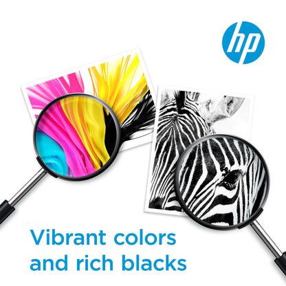 HP 64 Black & Tri-Color Ink Cartridges for HP Printers (Combo Pack) | Works with Printer Series: Inspire 7950e; ENVY Photo 6200, 7100, 7800; Tango | Eligible for Instant Ink | X4D92AN