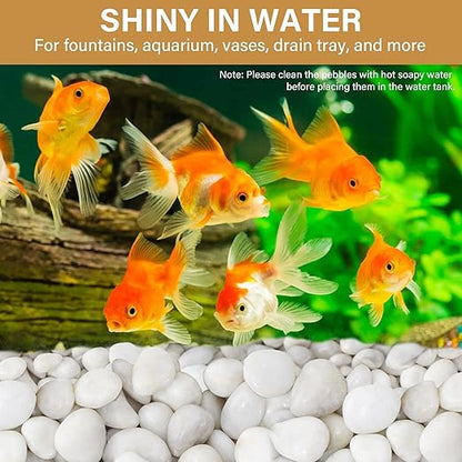 NUPICK 16lb White River Rocks for Outdoor Landscaping, 1-2 Inch Pebbles for Indoor Plants, Natural Polished Aquarium Gravel, Decorative Rocks for Succulent, Garden, Vases Fillers, Bird Baths