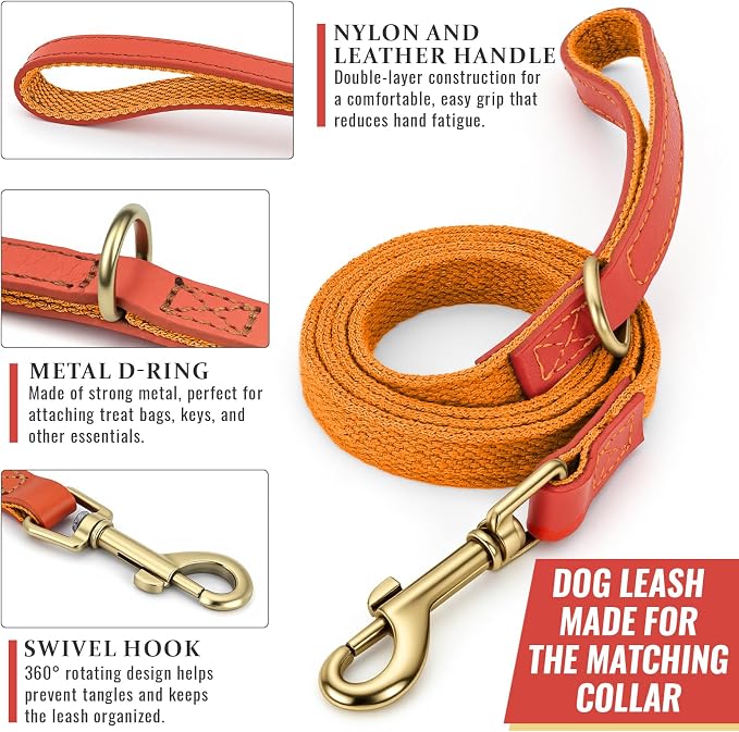 Dog Collar and Leash Set with Metal Quick Release Buckle, Adjustable, Breathable Nylon, Durable, Soft and Comfortable, No Pull for Walking and Training, Orange, M (12.5"-19.6")